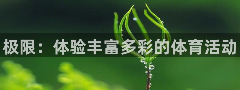 意昂扬是什么意思：极限：体验丰富多彩的体育活动