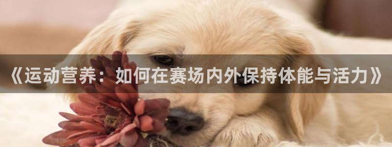 意昂官网：《运动营养：如何在赛场内外保持体能与活力》