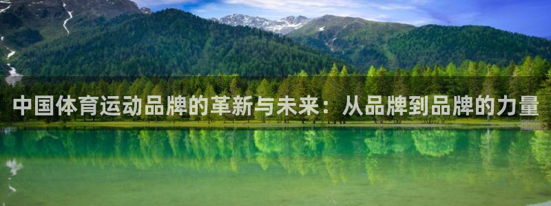 意昂凯捷注册：中国体育运动品牌的革新与未来：从品牌到品牌的力量
