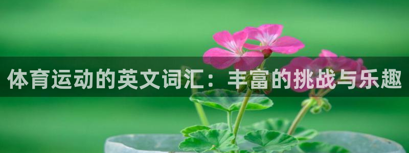 意昂官网入口：体育运动的英文词汇：丰富的挑战与乐趣