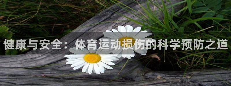 意昂平台注册：健康与安全：体育运动损伤的科学预防之道