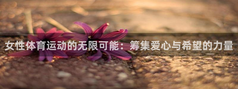 福建意昂机电股份公司：女性体育运动的无限可能：筹集爱心与希望的力量