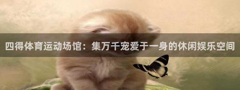 意昂3官网登录：四得体育运动场馆：集万千宠爱于一身的休闲娱乐空间