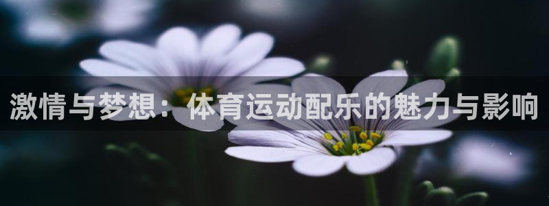 意昂集团：激情与梦想：体育运动配乐的魅力与影响