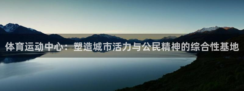 意昂2代理注册：体育运动中心：塑造城市活力与公民精神的综合性基地